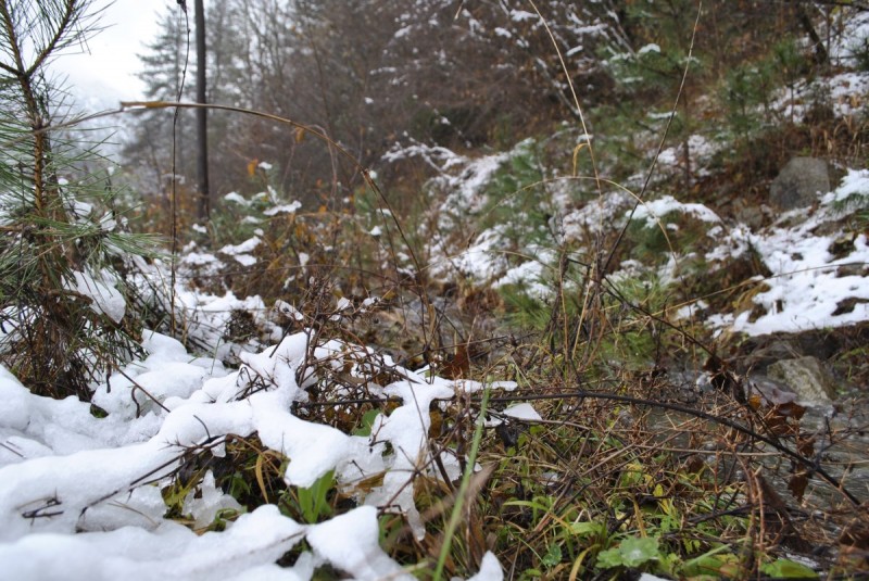 _DSC9690.jpg