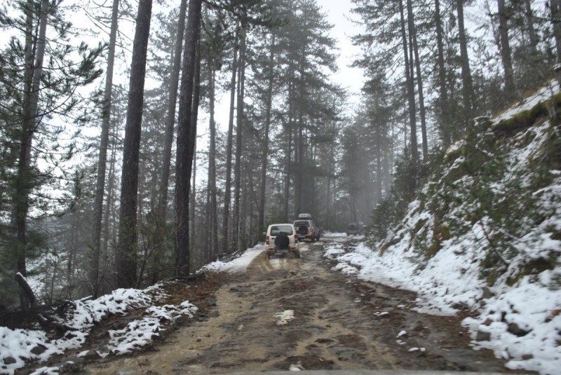 _DSC9694.jpg