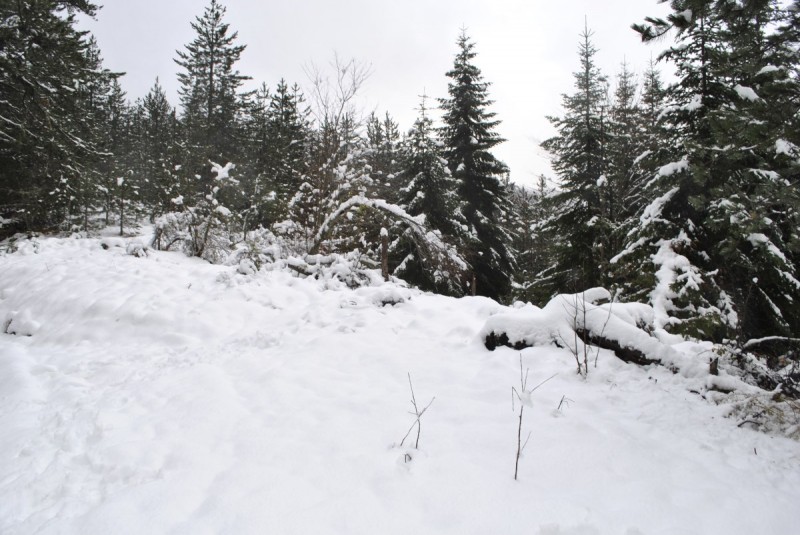 _DSC9737.jpg