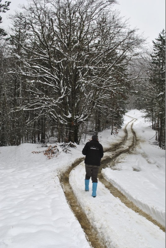 _DSC9750.jpg