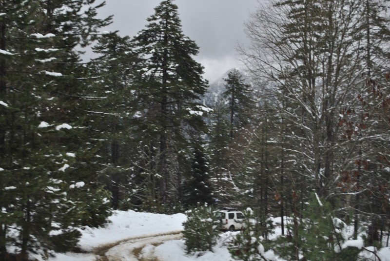 _DSC9765.jpg