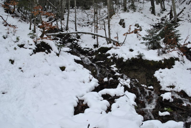 _DSC9786.jpg