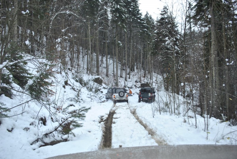 _DSC9790.jpg