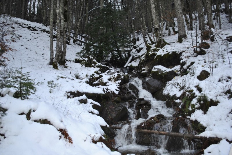 _DSC9794.jpg