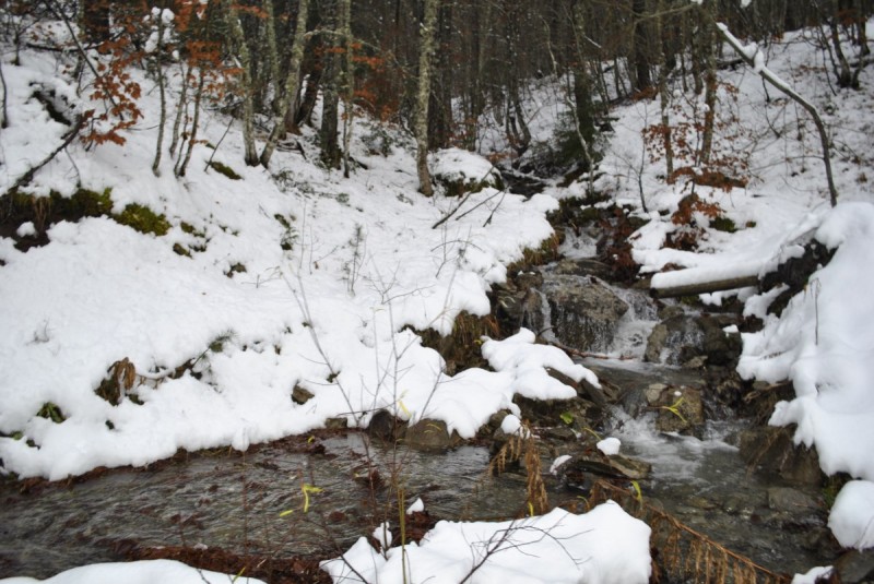 _DSC9809.jpg
