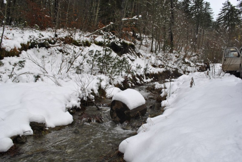 _DSC9812.jpg