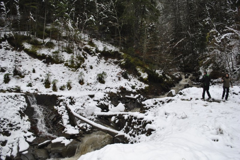 _DSC9829.jpg