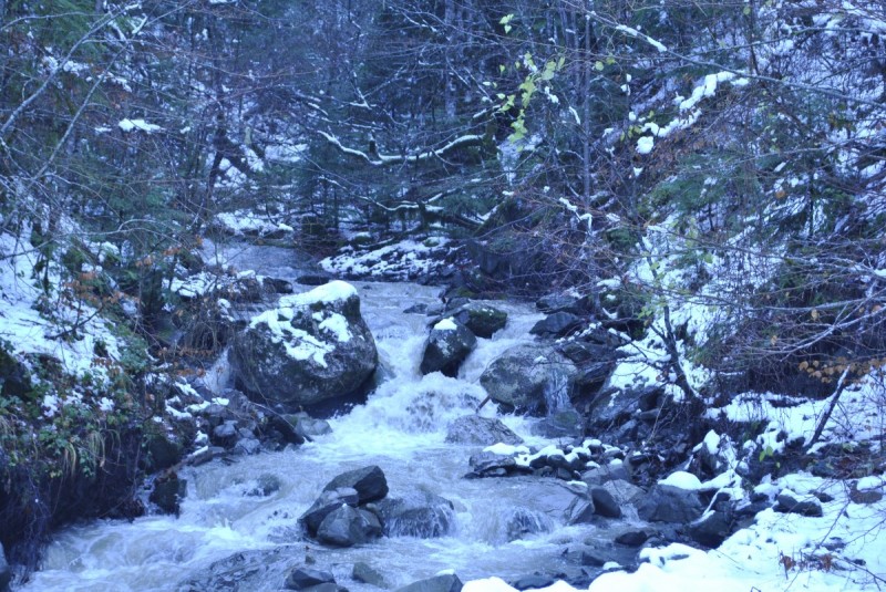 _DSC9831.jpg