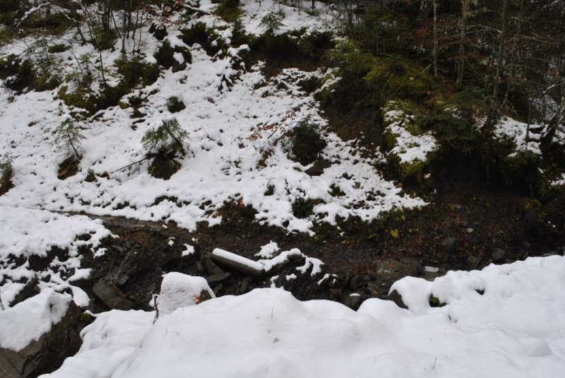 _DSC9833.jpg
