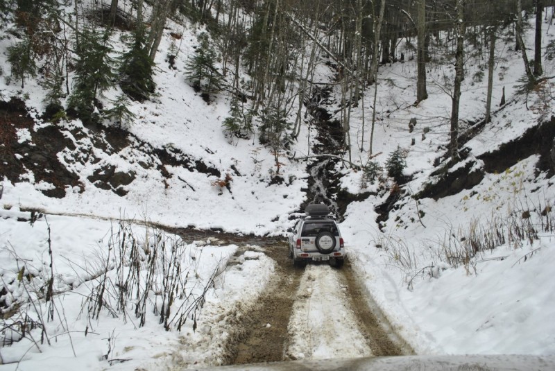 _DSC9850.jpg