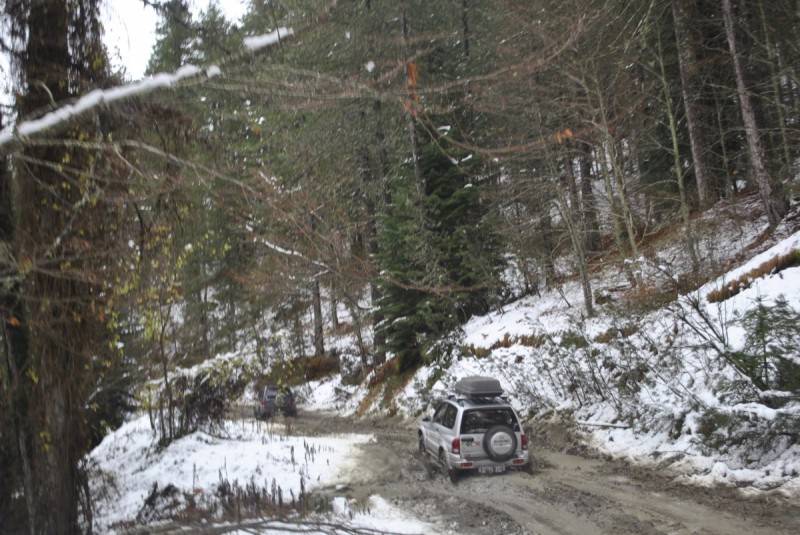 _DSC9860.jpg
