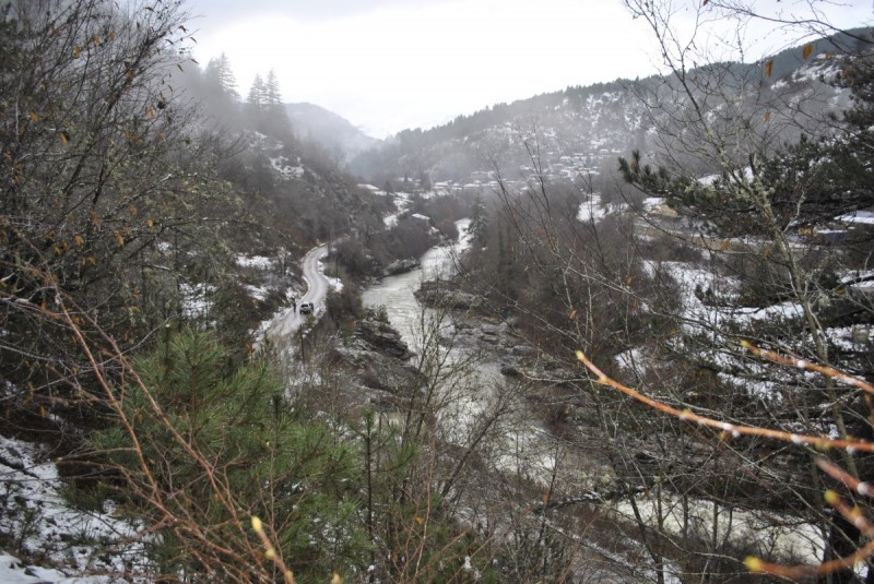 _DSC9867.jpg