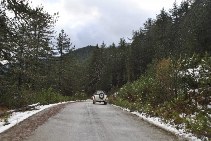 _DSC9896.jpg