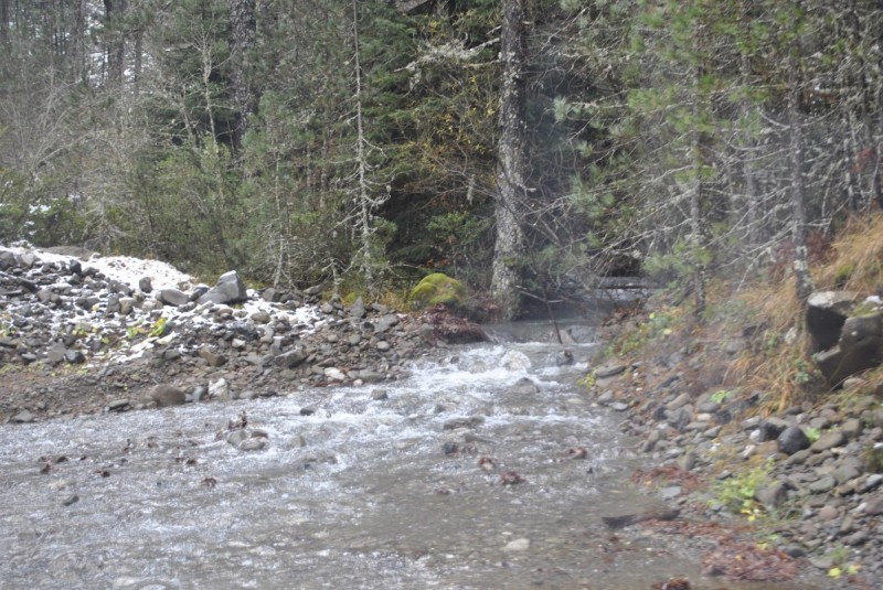 _DSC9900.jpg