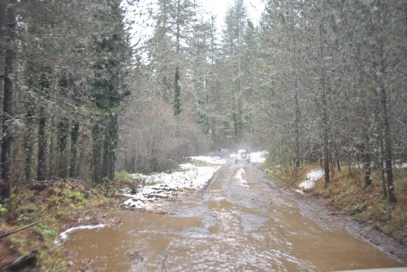 _DSC9903.jpg
