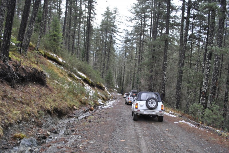 _DSC9930.jpg