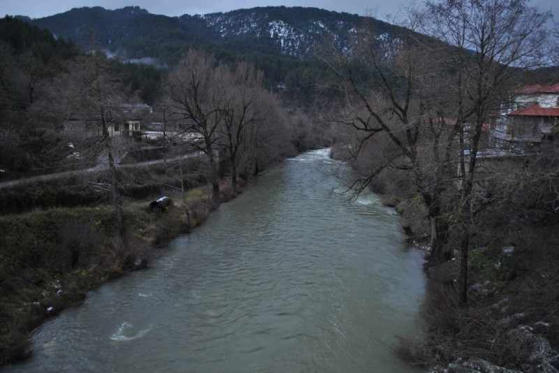 _DSC9979.jpg