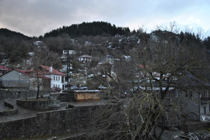 _DSC9981.jpg