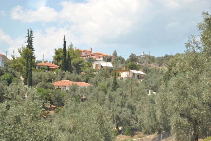 DSC_1867.jpg