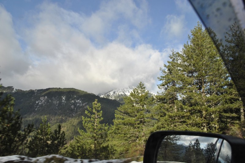 _DSC0064.jpg