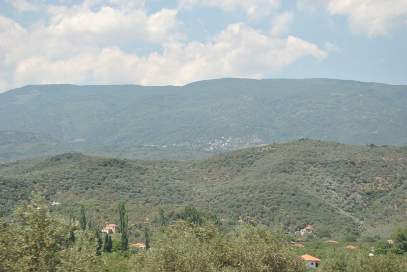 DSC_1874.jpg