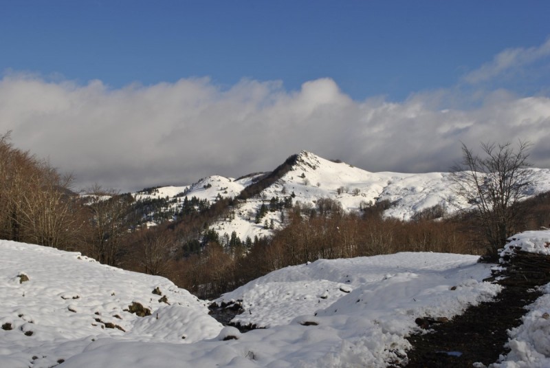 _DSC0093.jpg