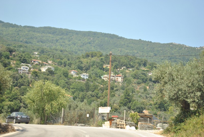 DSC_1878.jpg