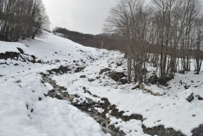 _DSC0127.jpg