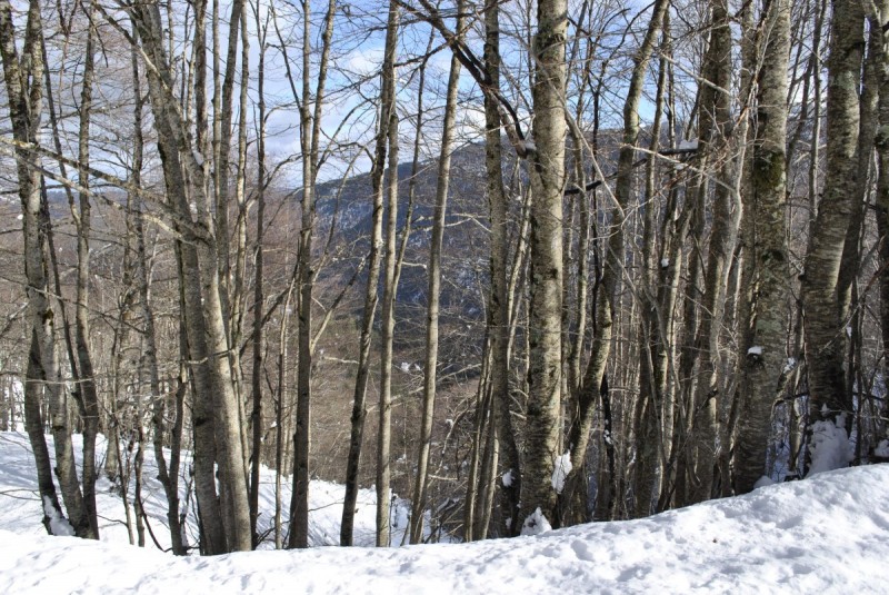 _DSC0154.jpg