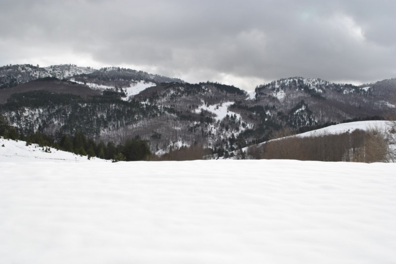 _DSC0185.jpg