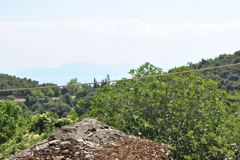 DSC_1892.jpg