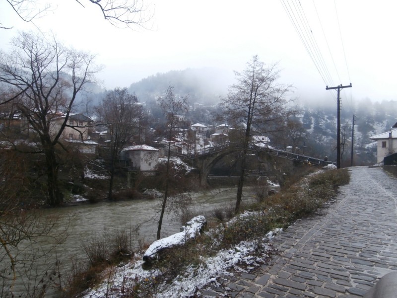 PB280095.JPG