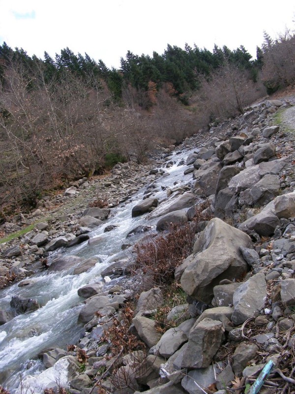 p19.jpg