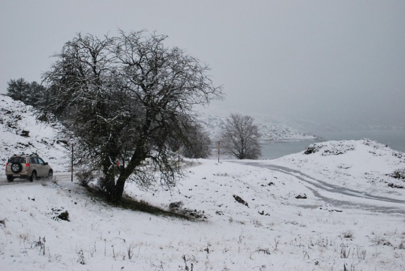 DSC_0057.jpg