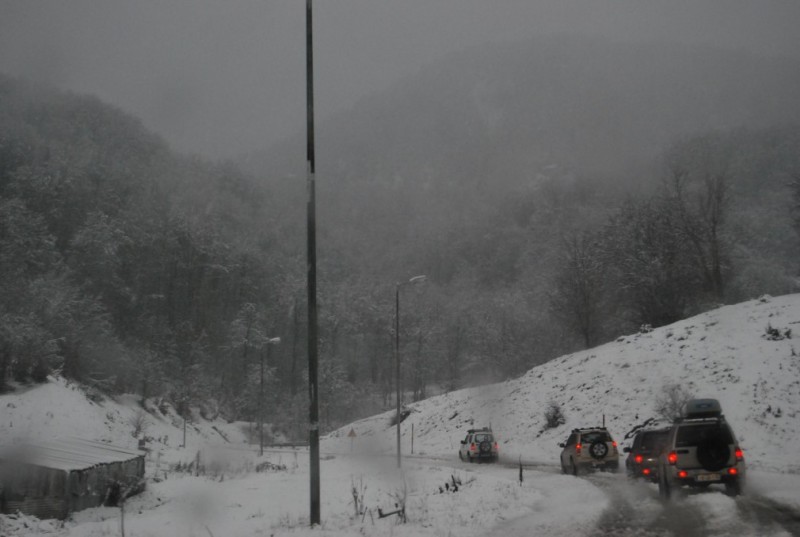 DSC_0087.jpg