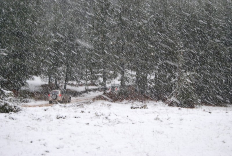 DSC_0101.jpg