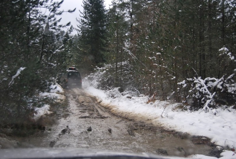 DSC_0254.jpg