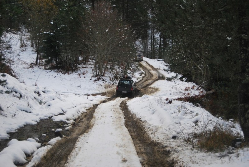 DSC_0255.jpg