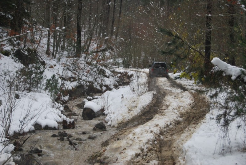 DSC_0321.jpg