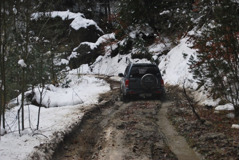 DSC_0333.jpg