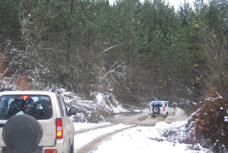 DSC_0419.jpg