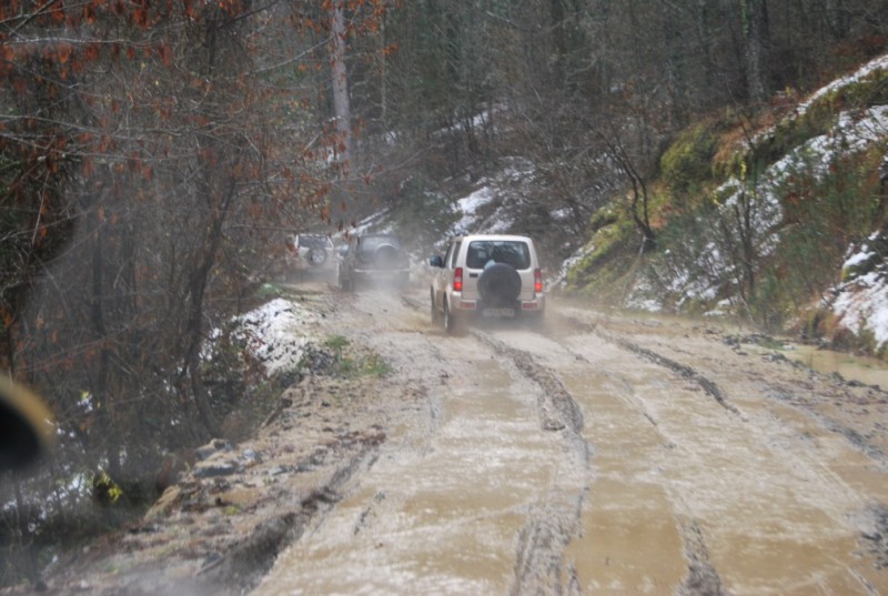 DSC_0444.jpg