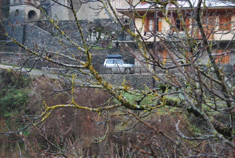 DSC_0453.jpg