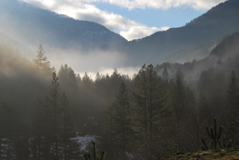 DSC_0461.jpg