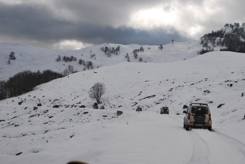 DSC_0479.jpg