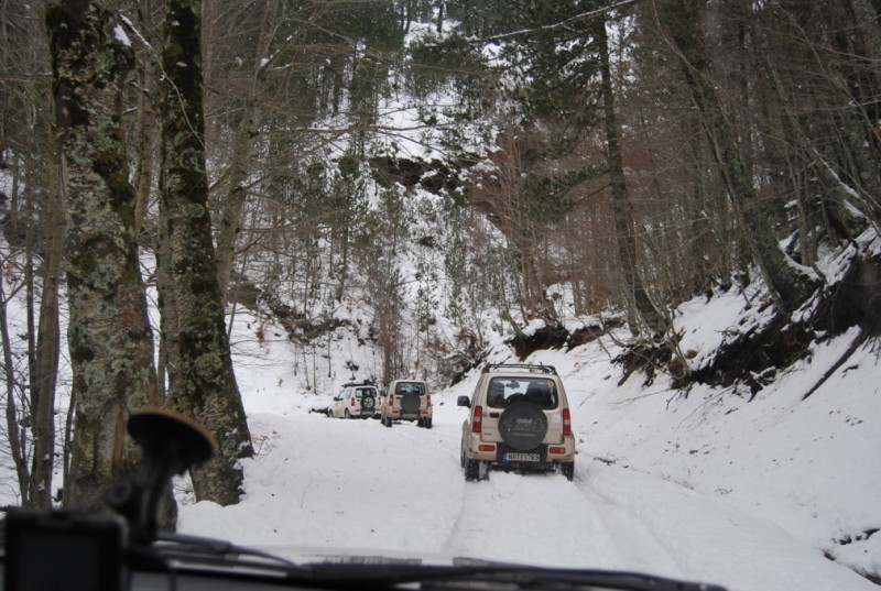 DSC_0506.jpg