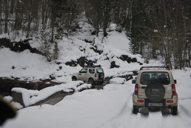 DSC_0510.jpg