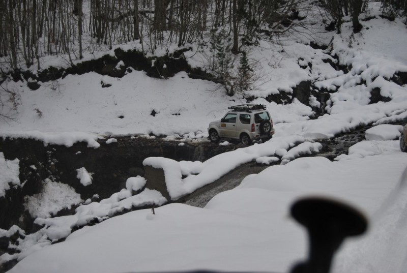 DSC_0511.jpg