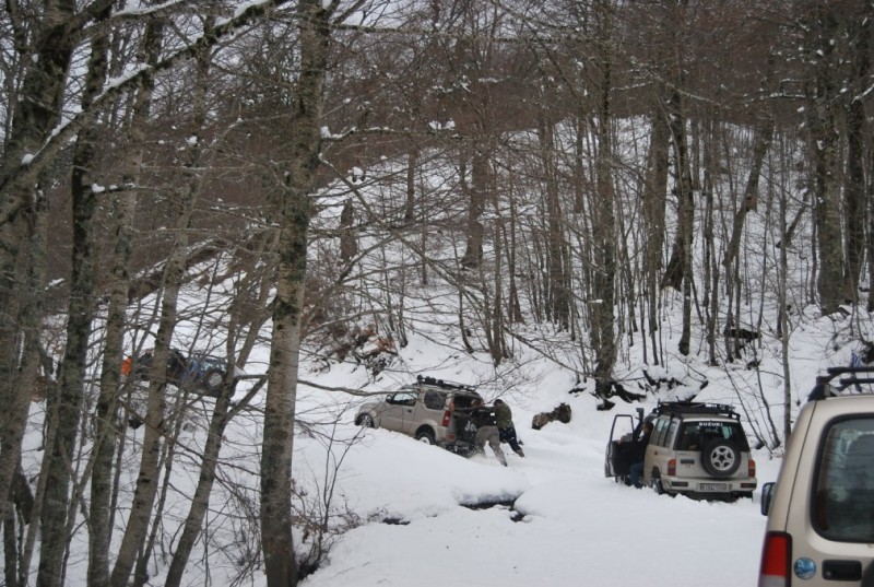 DSC_0514.jpg