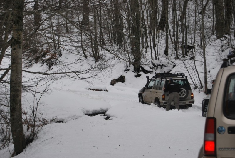 DSC_0516.jpg